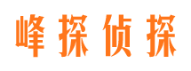 麦积区私家侦探公司